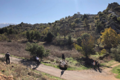 75580389_2486823081373087_5048586631695564800_o