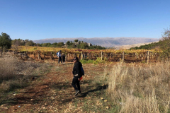 76603173_2486832964705432_3329915336026750976_o