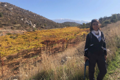 76644651_2486836318038430_9057345338678968320_o