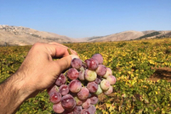 77122751_2486850004703728_6810704339061964800_o