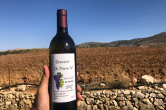 78089357_2486841274704601_5111878025683664896_o