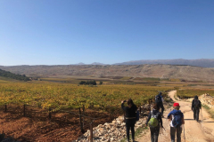 78120296_2486849971370398_2919072018760466432_o