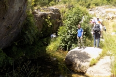 DSCN0138