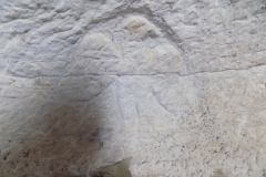DSCN0159