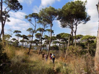 La Martine Hike 11-12-2016