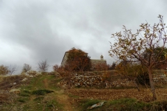 DSCN0049