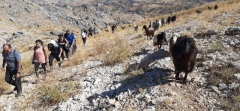 Laqlouq Ehmej Hike 11-10-2020