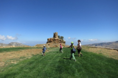 IMG_7371 - Copy