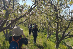 96824800_2854562504599141_959210740026179584_o