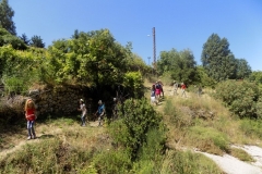 DSCN0024