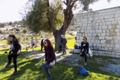 DSCN0008