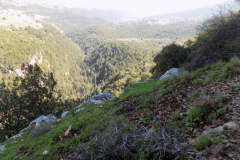 DSCN0025