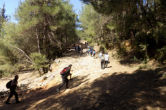 DSCN0034