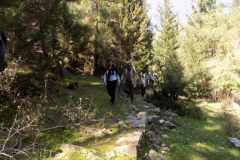 DSCN0047