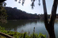 DSCN0079