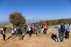 DSCN0065