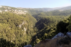 DSCN0084