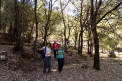 DSCN0096