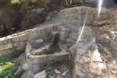 DSCN0120