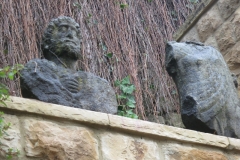IMG_1247