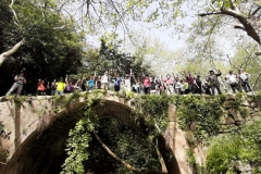 20210418_101128 - Copy